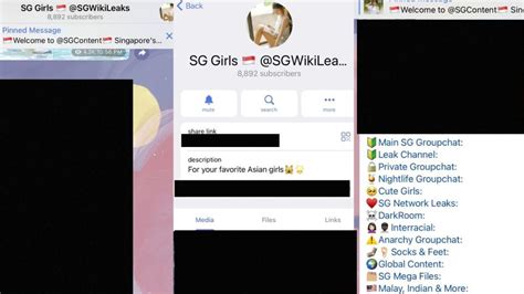 asian leak singapore|Police probing Telegram group allegedly hosting。